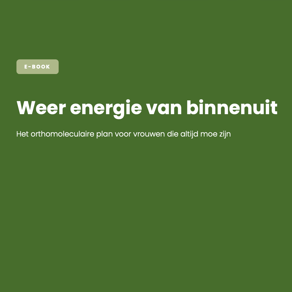 E-book: Weer energie van binnenuit