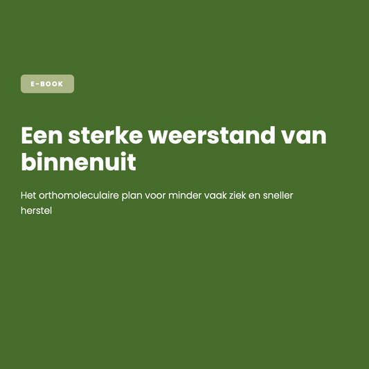 E-book: Een sterke weerstand van binnenuit